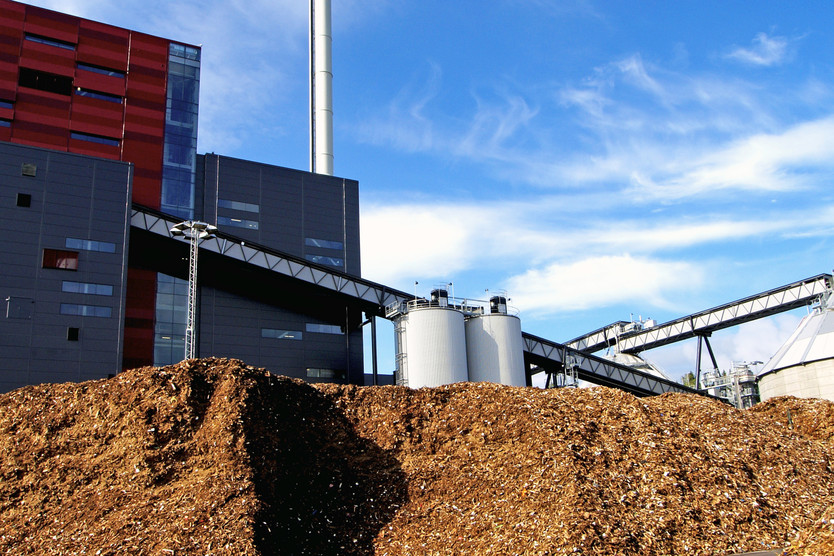 Gefördertes Projekt: CO2-Einsparung durch effiziente Dampferzeugung aus Biomasse
