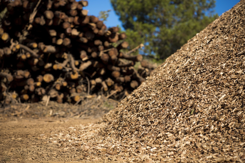 Gefördertes Projekt: Klärschlammtrocknung durch Biomasse (Abfallwirtschaft)